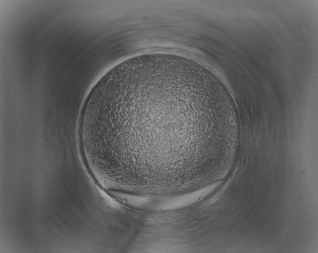 X0000070221533200606021308