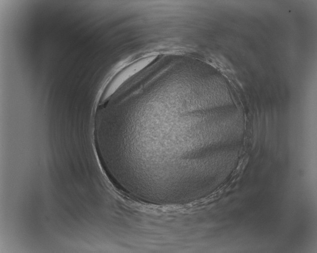 X0000070220003200606091702