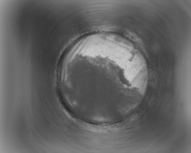 X0000070220012200606091702