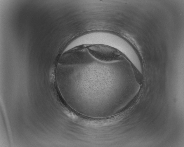X0000070220017200606091702