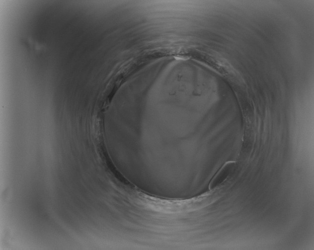 X0000070220035200606091702