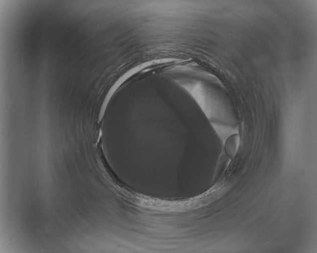 X0000070220048200606091701