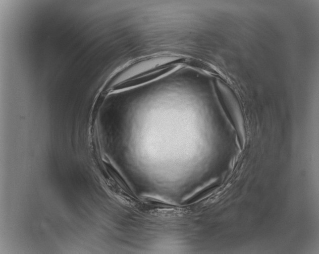 X0000070220050200606091701