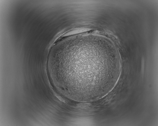 X0000070220051200606091701