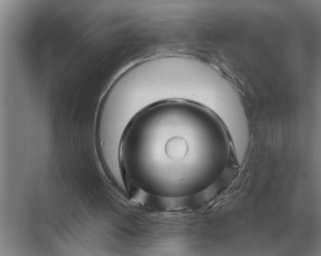 X0000070220052200606091701