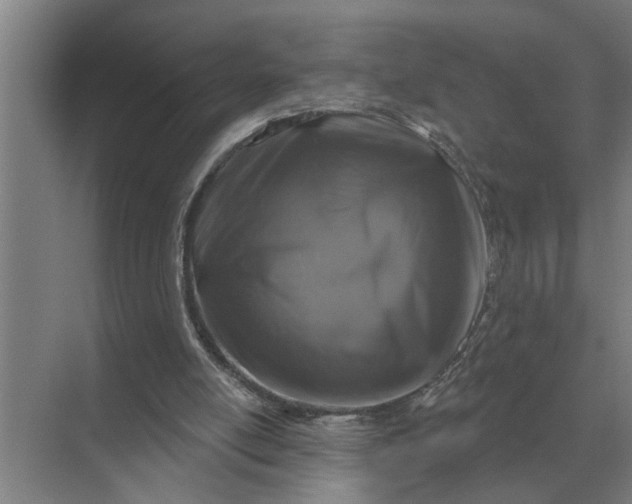 X0000070220054200606091701