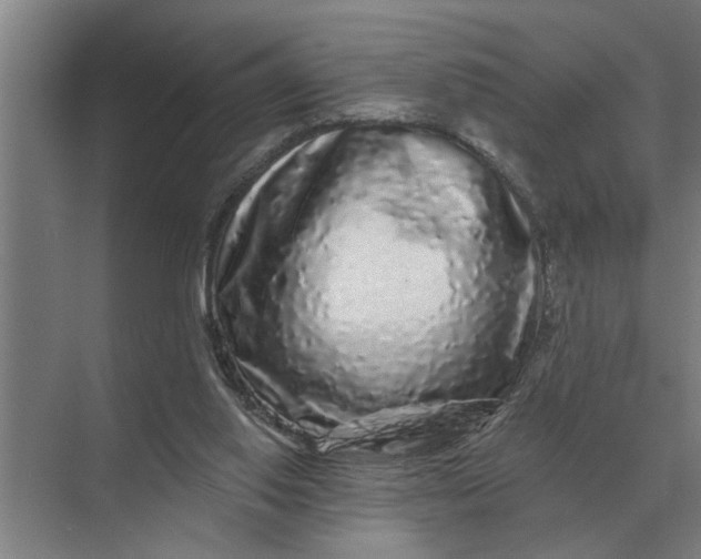 X0000070220062200606091701