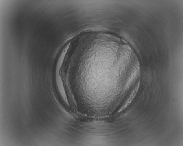X0000070220063200606091701