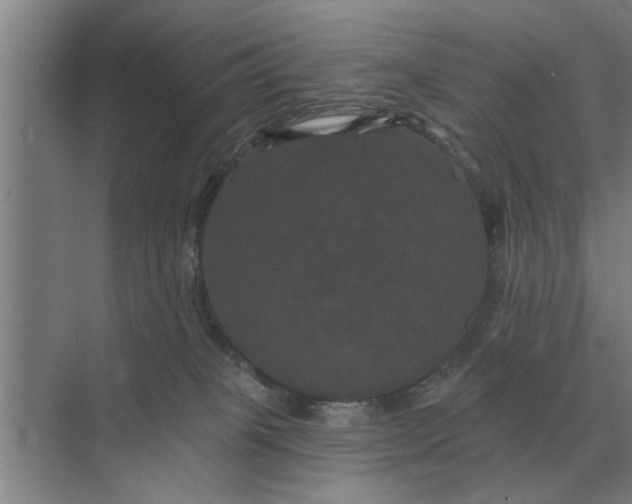 X0000070220085200606091701