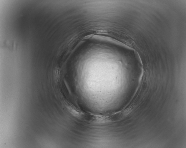X0000070220093200606091701