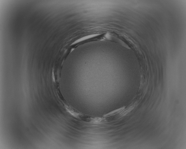 X0000070220096200606091701