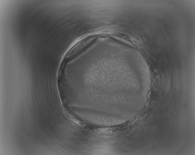 X0000070220100200606091701