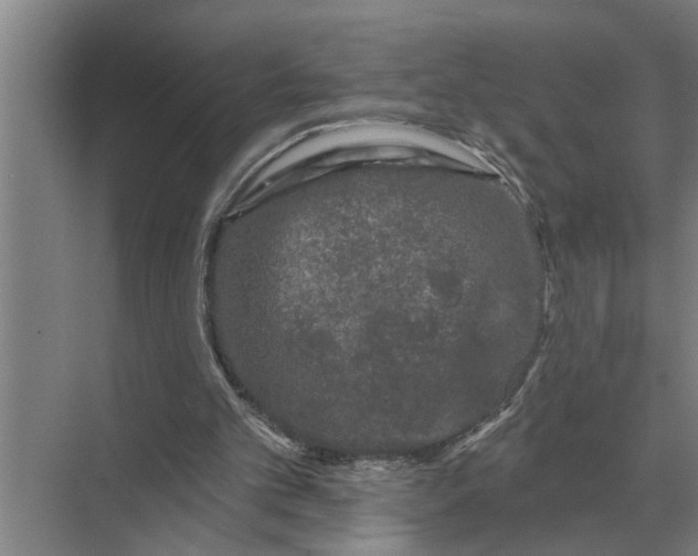 X0000070220101200606091701