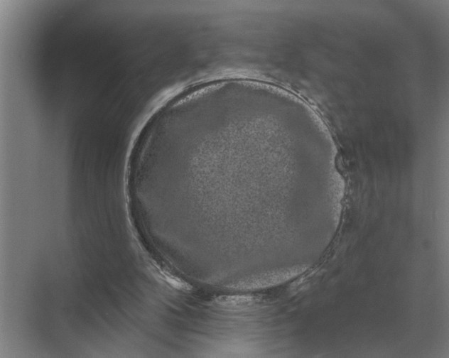 X0000070220104200606091701