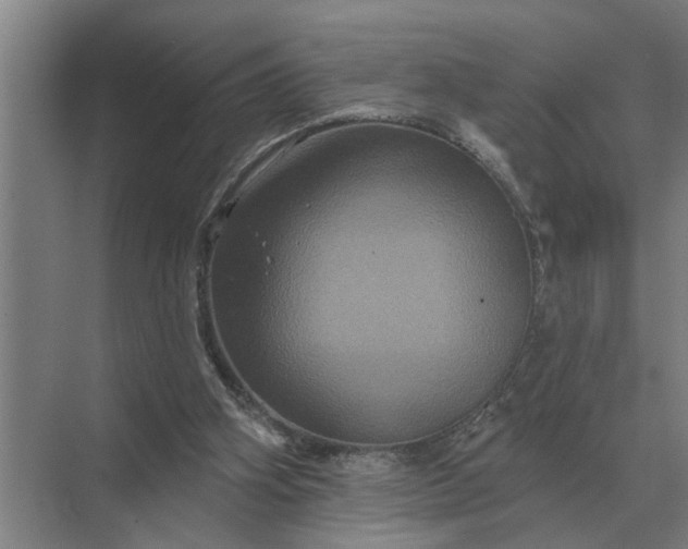 X0000070220106200606091701
