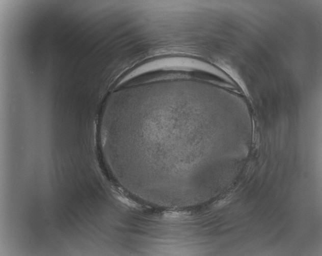 X0000070220109200606091700