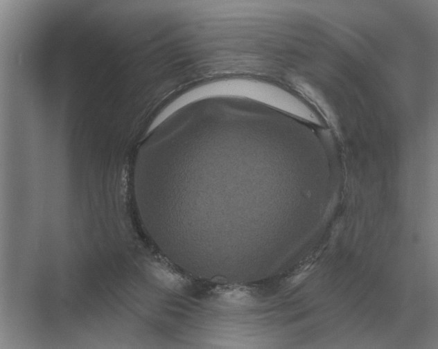 X0000070220113200606091700
