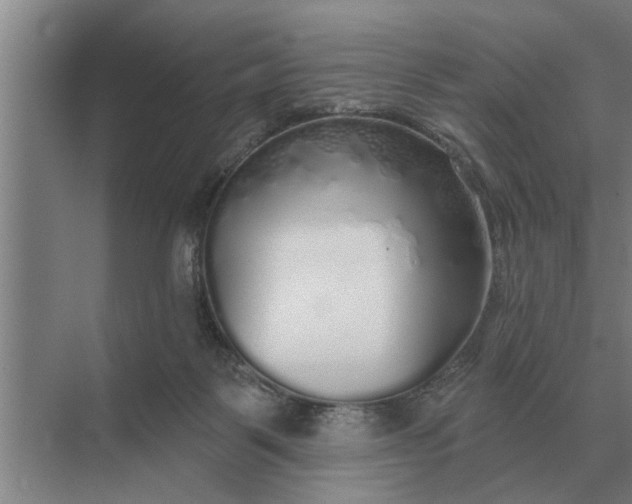 X0000070220123200606091700