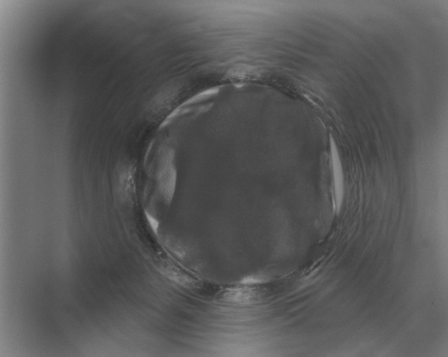 X0000070220127200606091700