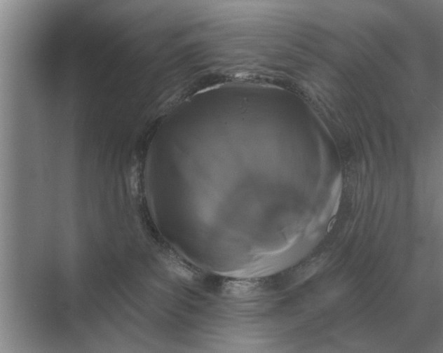 X0000070220139200606091700