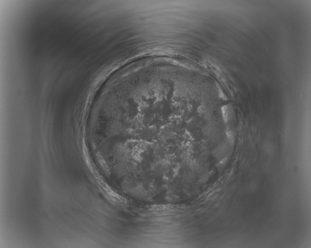 X0000070220145200606091659