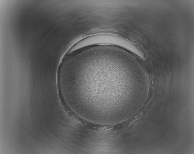 X0000070220148200606091659