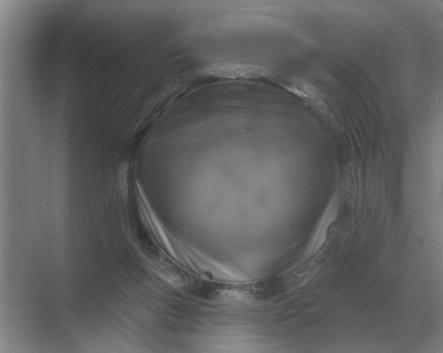 X0000070220167200606091659