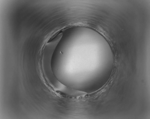 X0000070220193200606091659