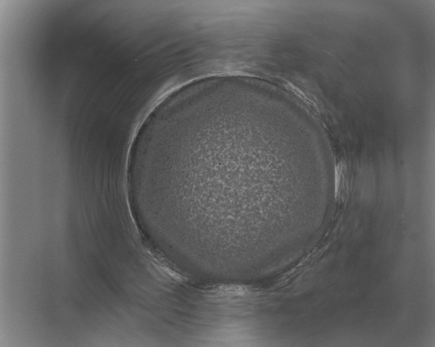 X0000070220195200606091659