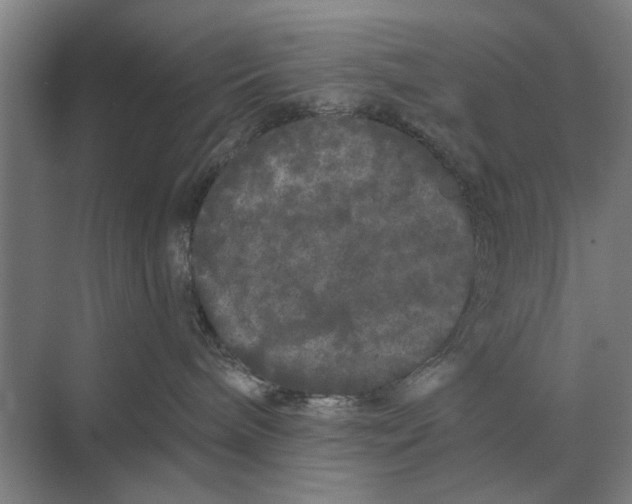 X0000070220240200606091658