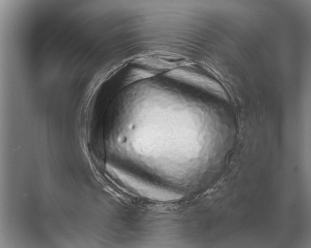 X0000070220241200606091657