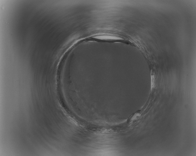 X0000070220243200606091657