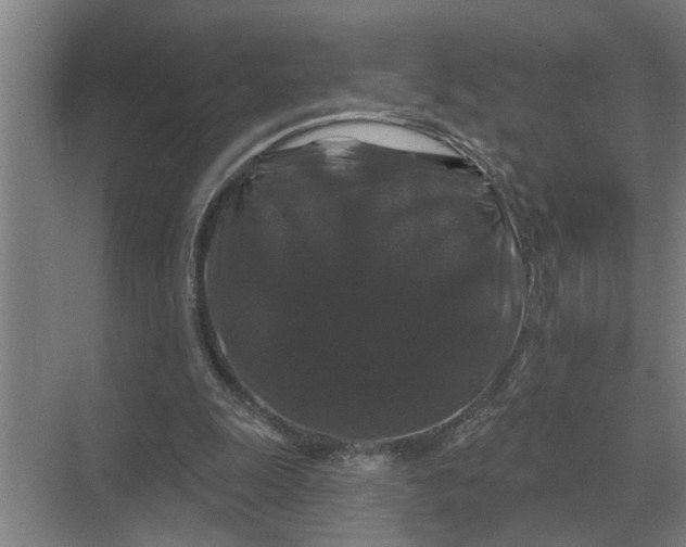 X0000070220247200606091658