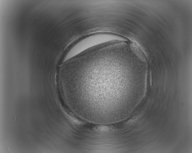 X0000070220253200606091658