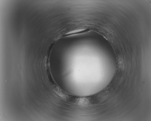 X0000070220275200606091658