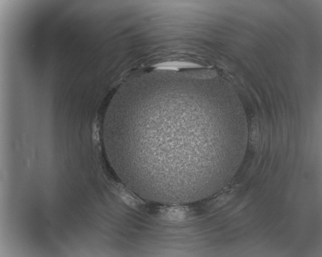 X0000070220282200606091658