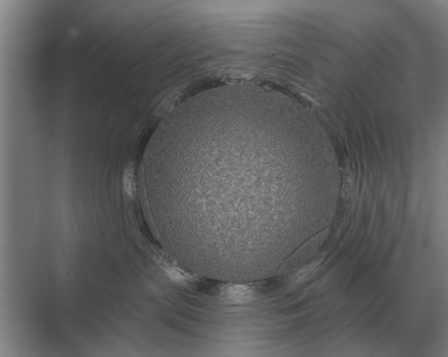 X0000070220287200606091658