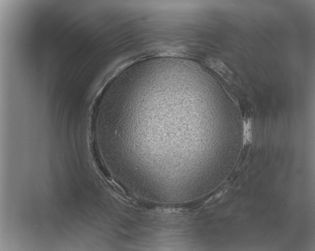 X0000070220291200606091657