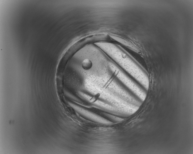 X0000070220292200606091657