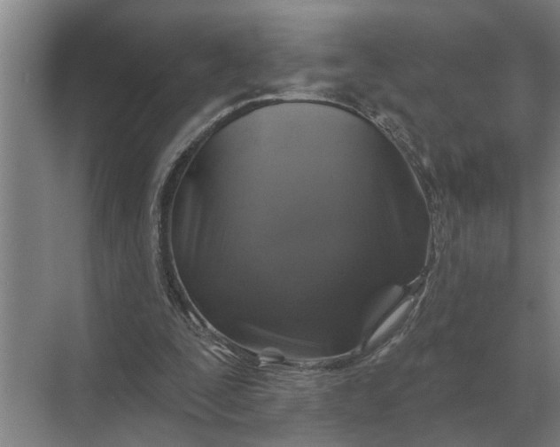 X0000070220295200606091657