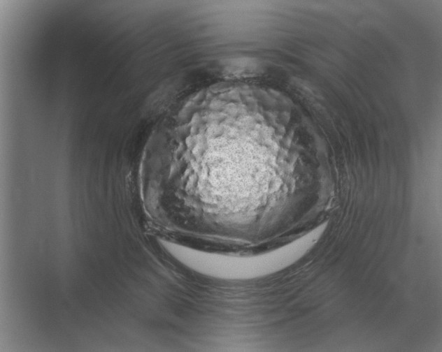 X0000070220327200606091657