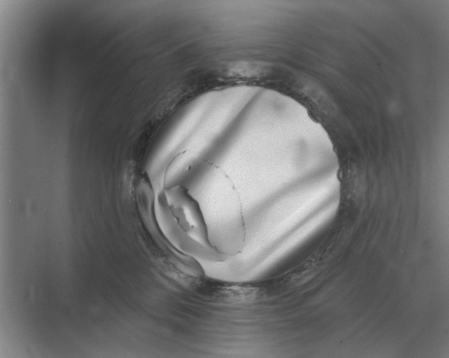 X0000070220328200606091657