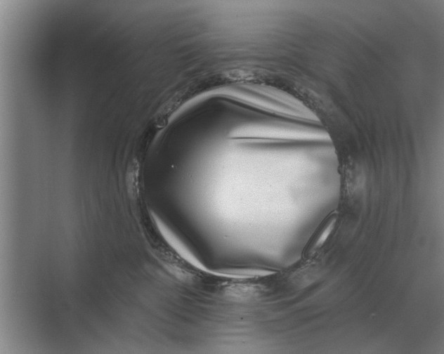 X0000070220332200606091657