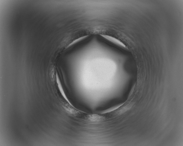 X0000070220336200606091657
