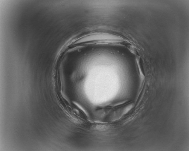 X0000070220341200606091656