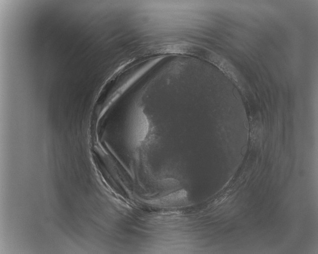 X0000070220386200606091656