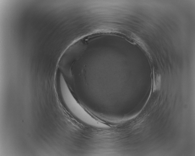 X0000070220387200606091656