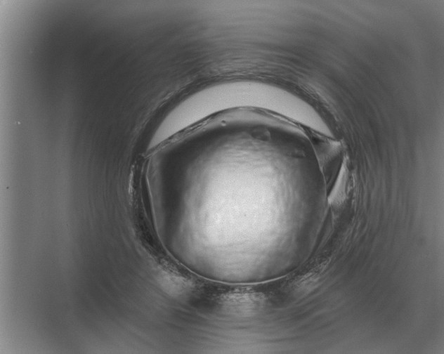 X0000070220404200606091656