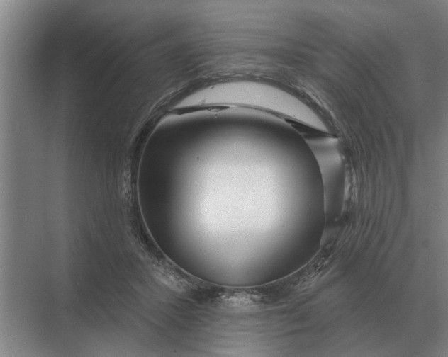 X0000070220407200606091655