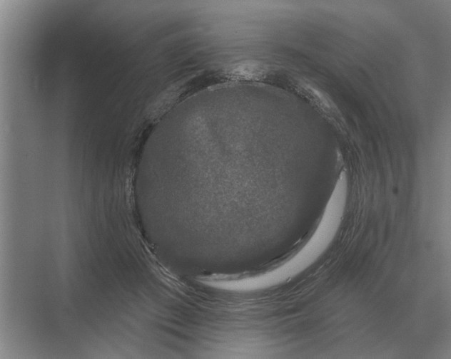 X0000070220409200606091655